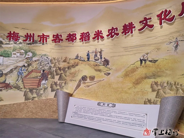 梅州市客都稻米農(nóng)耕文化展廳，cr網(wǎng)絡(luò)